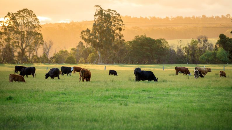 Agricultural sector in Australia