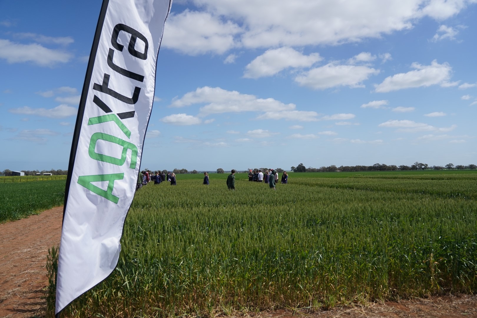 What is Applied Field Research, and how is it helping advance Australian Agriculture?