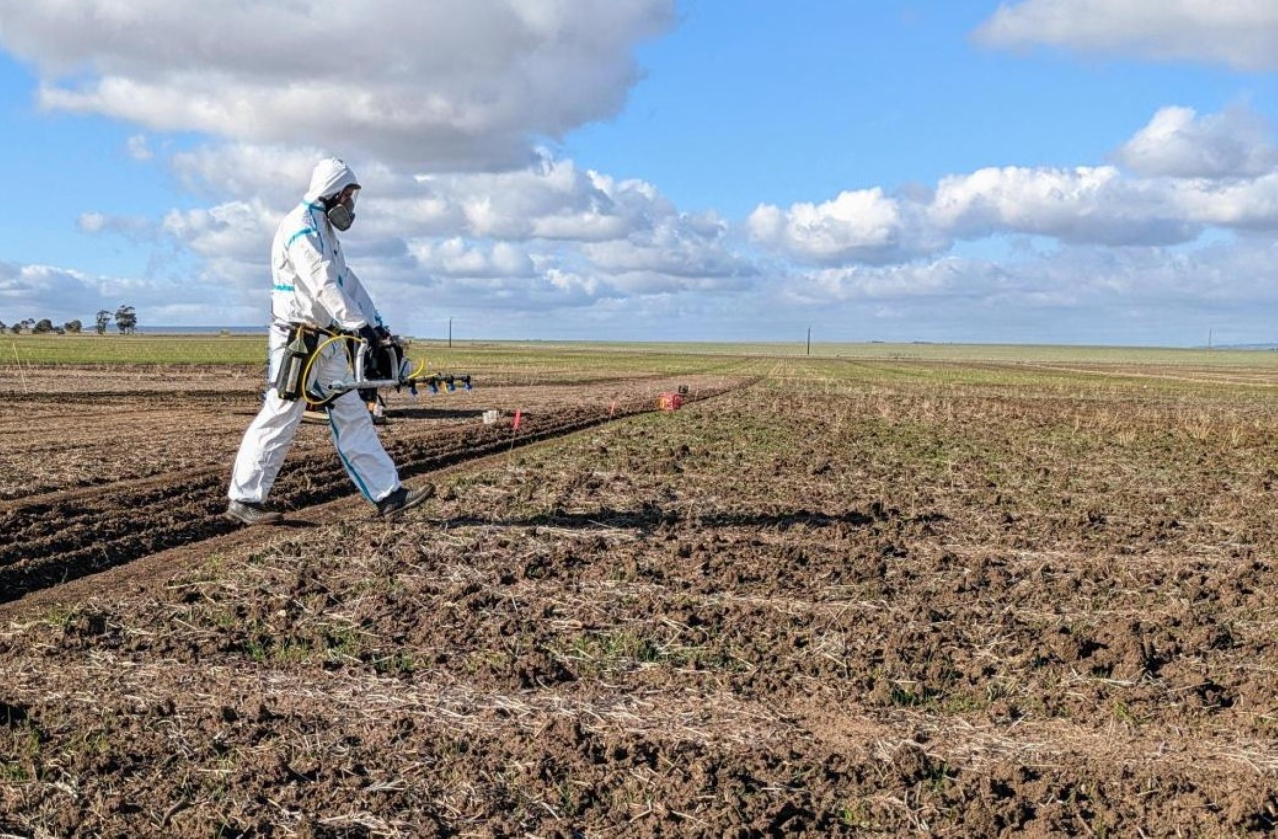 The Power of On-the-Job Learning